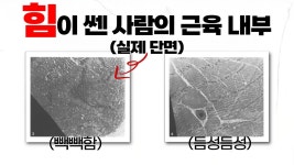 네이버 인플루언서 [네이버 인플루언서] 대부분 근육은 아는데, 근력(力)은 모르더라구요