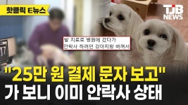 동물병원에서 개 바껴서 안락사 시킨거 머여 - 판타지 갤러리
