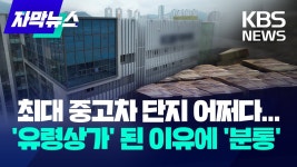 부동산 사기가 얼마나 횡행하면 - 부동산 갤러리