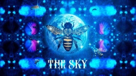 The Sky - Virking: 노래 가사, 뮤직 비디오 및 콘서트