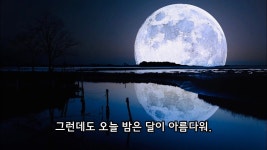 달이 아름다워 처음엔 별로라고 생각했는데 - 판타지 갤러리
