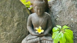 Garden - oshk | Shazam Garden - oshk