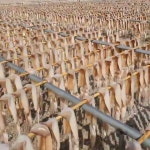 마미템 - YouTube 마미템