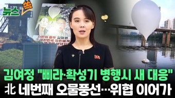 [뉴스쏙] 김여정 
