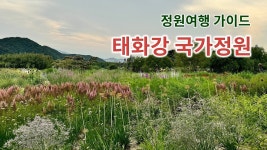 네이버 인플루언서 [네이버 인플루언서] 태화강 국가정원✨총정리✨정원 가이드🌿자연주의정원