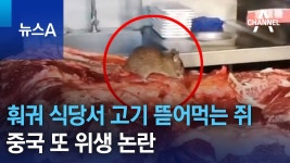 훠거 소고기 먹는 쥐 “그냥 두더라”… 中 또 위생 논란 - 정치, 사회 갤러리