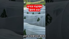 부직포 터널재배 문제점 절반의 성공 충북 자연과함께하는 청정 괴산 자연울림 감물 고추재배 농가 귀농 14년 베테랑 풀뿌리농장 #shorts