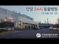 동영상 등록 - 알바몬