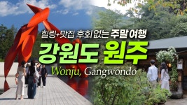원주 집 거의 다 지어가는데 - 미래 마이너 갤러리