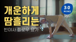 네이버 인플루언서 [네이버 인플루언서] 땀 흠뻑 흘리는 30분 빈야사 플로우 요가 | 전신 다이어트 운동, 근력 유산소, 디톡스 효과, 스트레칭... 