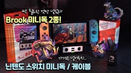 네이버 인플루언서 [네이버 인플루언서] 홍플러스의 스위치독