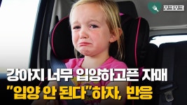 자매가 성격이 극과극 ㅋㅋㅋ - 편의점 갤러리