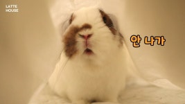 같이 봐여 - 혼밥혼술 미니 갤러리