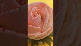 네이버 인플루언서 [네이버 인플루언서] 방콕 디올카페 (Dior Cafe Bangkok)