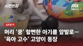 온 세상이 단또다 - 이세돌(왁엔터테인먼트) 마이너 갤러리