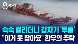 4ofnd 한우 안먹은지 오백만년 - 치킨 갤러리
