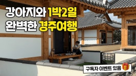 [네이버 인플루언서] 한옥에서 강아지와 지낼 수 있다고?! 신상 애견동반펜션&경주 가볼만한 곳까지 알차게 1박2일 애견동반여행 가이드북✨