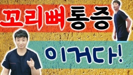 네이버 인플루언서 [네이버 인플루언서] 안아파연구소의 꼬리뼈