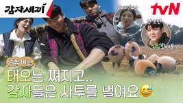 감자연구소 땜빵이라기에는 티벤 각잡고 밀어주네 - 기타 국내 드라마 갤러리