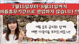 네이버 인플루언서 [네이버 인플루언서] 꽃이다농장은 7월 15일부터 8월 31일까지 여름휴가 기간이므로 영업하지 않습니다 !!! 중대한... 