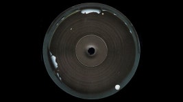 Sagan - Arkajo: Song Lyrics, Music Videos & Concerts