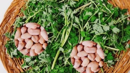 네이버 인플루언서 [네이버 인플루언서] 💚쑥떡 제발 방앗간에 가지 마세요 집에서 무조건 이렇게 만드세요 한통 가득 만들어도 남아나질 않습니다