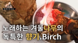 네이버 인플루언서 [네이버 인플루언서] 우디 향수 노트 자작나무(birch)에 대하여 | 쎈스쟁이 향기 연구소