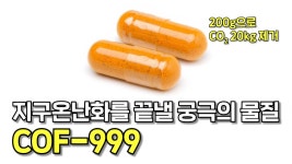 기후위기 좆밥이었네 - 생존 마이너 갤러리