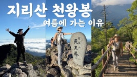 네이버 인플루언서 [네이버 인플루언서] 여름 운해보러 가는 지리산 천왕봉 등산코스 중산리 당일치기