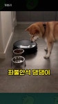 개블리 - YouTube
