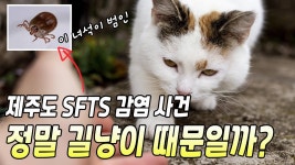 이거 수의사 맞냐?? - 야옹이 갤러리