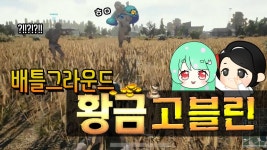 [묘송이X백설양] 배틀그라운드 황금고블린 (짧)... 배틀그라운드 황금고블린 (짧) 【Battleground funny moments】