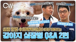 네이버 인플루언서 [네이버 인플루언서] 심장전문 수의학박사님이 이야기해주는 강아지 심장병 Q&A 2편✨