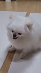 봉구냠냠 - YouTube