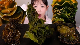 네이버 인플루언서 [네이버 인플루언서] 식감도 좋고 몸에도 좋은...🤎 영양가득 미역귀 먹방 seaweed [eating show] mukbang korean food