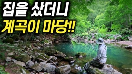 네이버 인플루언서 [네이버 인플루언서] 마당에 계곡이 흐르는 집을 사셨다고요? 이곳에는 무엇이 살고 있을까?