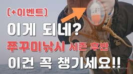네이버 인플루언서 [네이버 인플루언서] 오천항 쭈꾸미낚시 생멸치로 대박조황!!시즌후반 꼭 챙기세요~[with발키리7호]