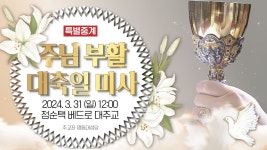 [특별중계] 2024년 주님 부활 대축일 미사 (12:00) - 정순택 베드로... 대축일 미사 (12:00) - 정순택 베드로 대주교 집전 I 천주교 서울대교구... 