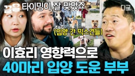 효리 선한영향력 관련 유튭영상 - 캠핑클럽 마이너 갤러리 효리 선한영향력 관련 유튭영상  - 캠핑클럽 마이너 갤러리