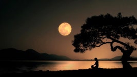 네이버 인플루언서 [네이버 인플루언서] 10시간 치유 수면음악「마음에 안정이 필요할 때」🎵 명상음악, 힐링음악, 치유음악 (Meditate On)