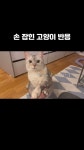 아리네 집 - YouTube
