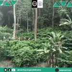 Santo Yusup Sulaksana - YouTube Santo Yusup Sulaksana