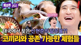 톡파원 25시 211회 영상 및 212회 예고 - 이찬원 마이너 갤러리