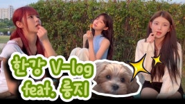 션이유 - 김시현 마이너 갤러리