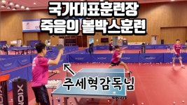 역시 국가대표네 - 탁구 마이너 갤러리