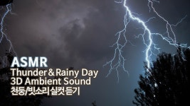 자기전에 천둥소리 asmr 안틀어놓으면 잠 안옴 - LGBT 갤러리