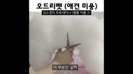 오드리펫 - YouTube