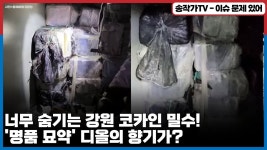 강원 코카인 밀수! 디올의 향기가 - 기타 국내 드라마 갤러리