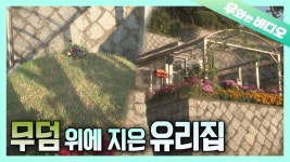 이거 보다 질질 짜버림 - 바이크 갤러리