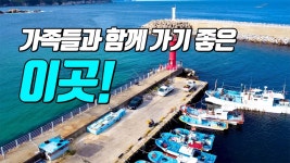 장호항 허락못받으면 - 루어낚시 마이너 갤러리
